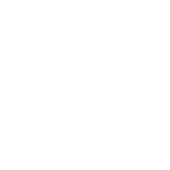 CIS-Consulting