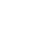 CIS-Consulting